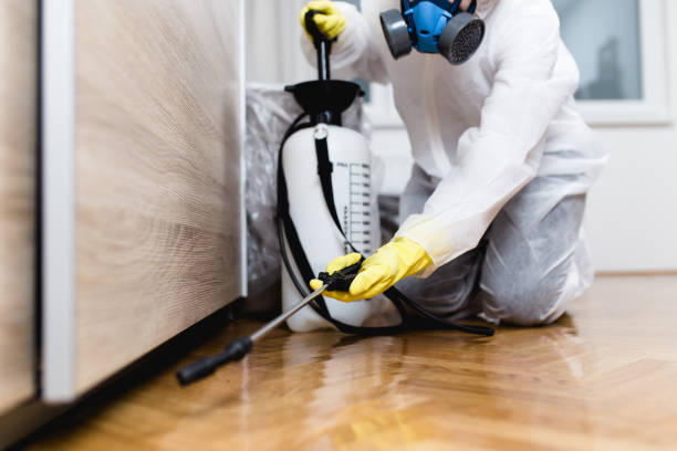 Best Best Pest Control Companies  in Andover, MN