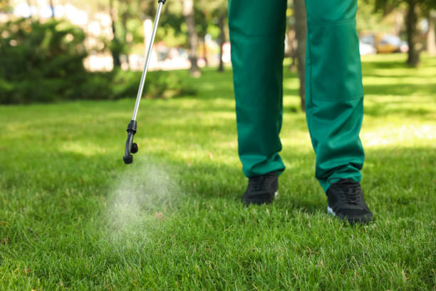 Best Pest Control Near Me  in Andover, MN