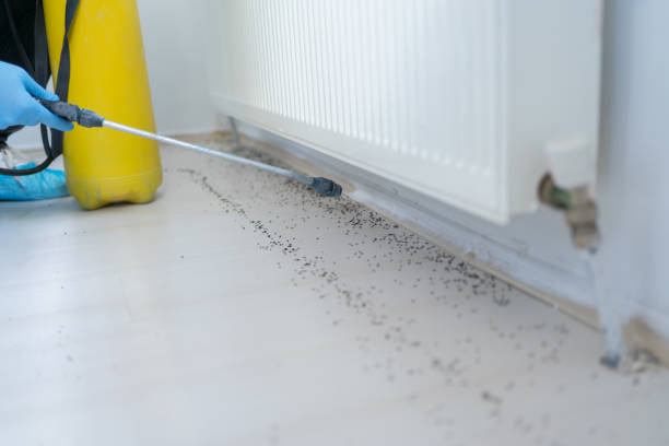 Best Pest Control Cost  in Andover, MN