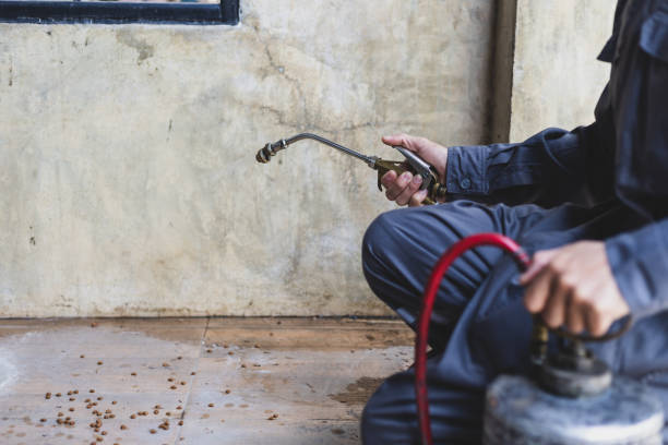 Best Exterminator Services  in Andover, MN